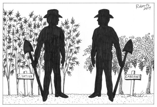 Editorial Cartoon: Whose valley is it?